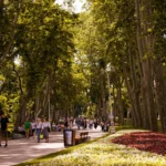 Gulhane Park in Istanbul