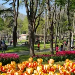 Gulhane Park in Istanbul