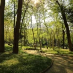 Gülhane Park - More Photos