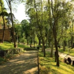 Gulhane Park in Istanbul