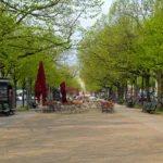 Unter den Linden - Image 3